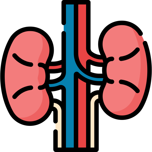 Physiology Image