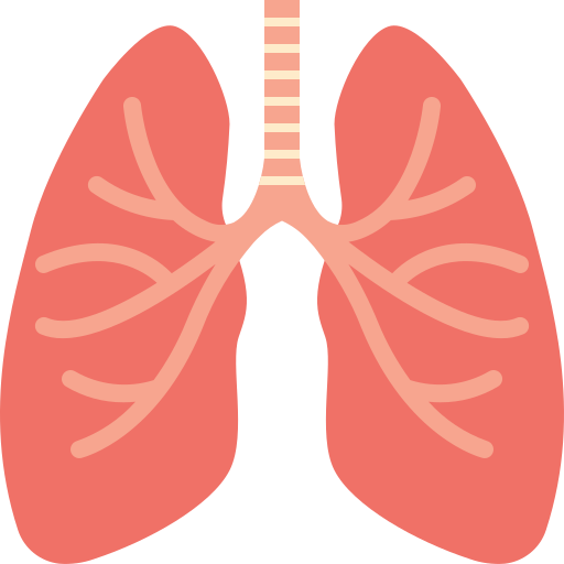 Respiratory Medicine Image