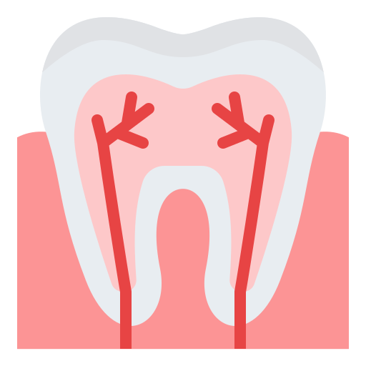 Dentistry Image